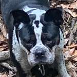 Ersteller:in Tanja Profilbild