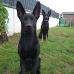 Ersteller:in Micka Profilbild