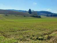 Hundeauslaufgebiet-Aindlings Felder-Bild