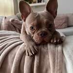 Ersteller:in Stefan Profilbild