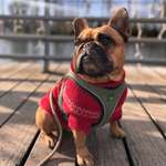 Ersteller:in Hannah Profilbild