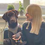 Ersteller:in Luise Profilbild