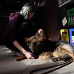 Ersteller:in Olli Profilbild