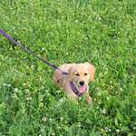 Ersteller:in Elisa Profilbild