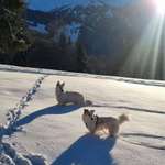 Ersteller:in Iris Profilbild