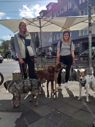 Ist das ein...?-Beitrag-Bild