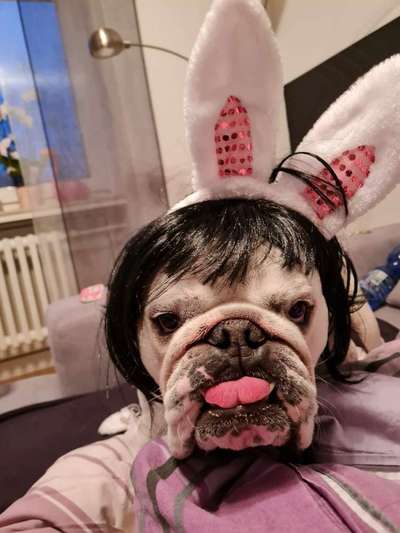 Hier ist der Spaßthread. Zum Schmunzeln und Kaputtlachen-Beitrag-Bild