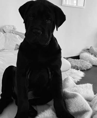 Foto-Challenge 76: Foto in Schwarz-Weiss-Beitrag-Bild