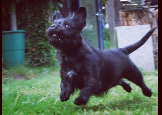 Fotochallenge Nr. 52 „Spring!“-Beitrag-Bild