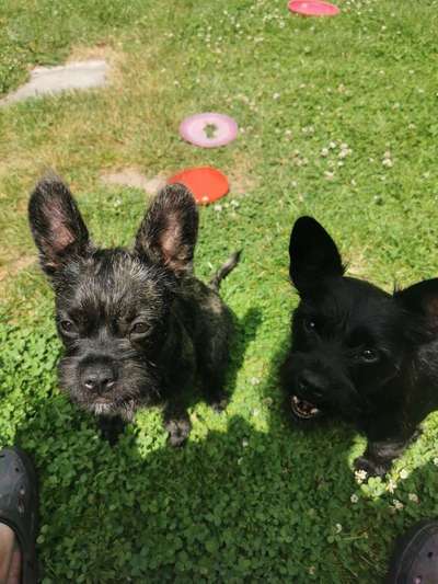 Handy-Foto Challange Nr. 10-Beitrag-Bild