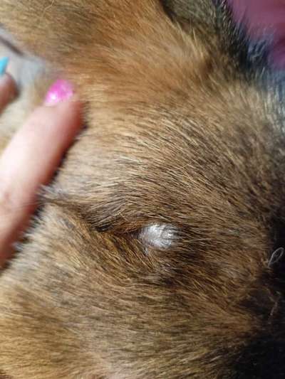 was ist das-Beitrag-Bild