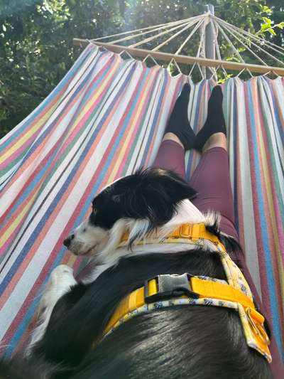 FOTO-Challenge  NR. 91: Die pure Entspannung-Beitrag-Bild