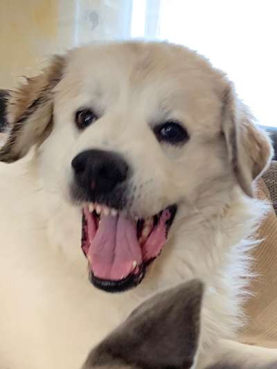 Her mit dem Grimassen-Beitrag-Bild