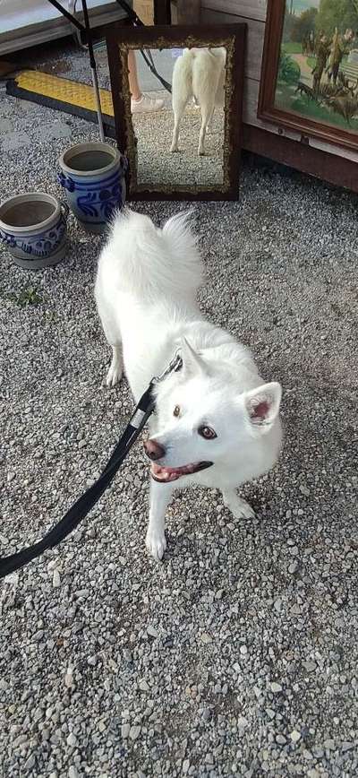 Doppelgänger gesucht !-Beitrag-Bild