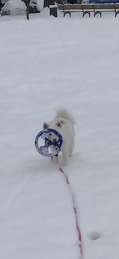 Handy-Foto-Challange Nr.9-Beitrag-Bild