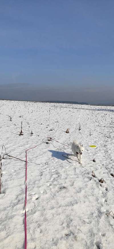 Ton in Ton-Beitrag-Bild