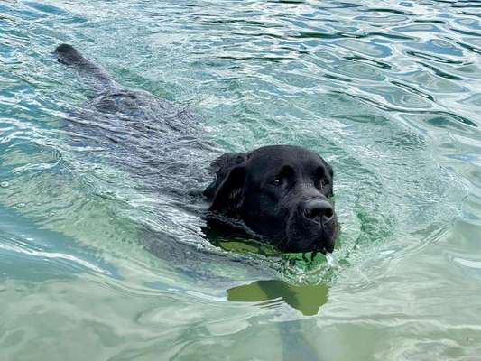 Foto-Challenge Nr. 90: Lebensfreude-Beitrag-Bild