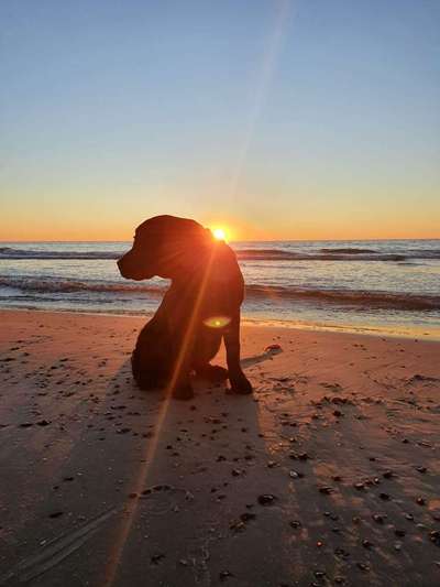 Foto-Challange No.1 - Alles aber nicht die Kamera-Beitrag-Bild