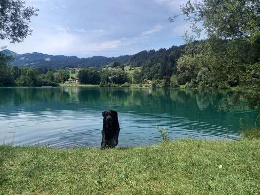 Theos Fotochallange Nummer 4-Beitrag-Bild