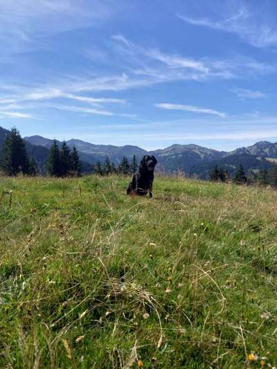 Fotochallenge Nr 107-Beitrag-Bild