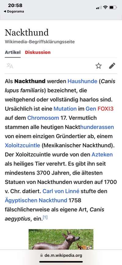 Diskussion zum neuen Entwurf des Tierschutzgesetzes....-Beitrag-Bild