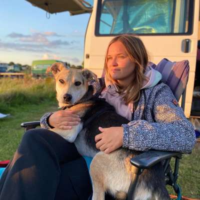 Hundetreffen-Gassi gehen