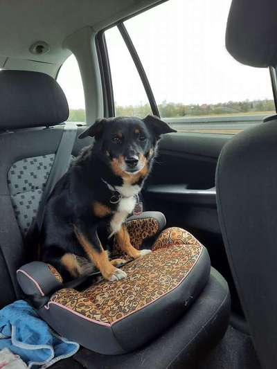 Lieblingsbild-Beitrag-Bild