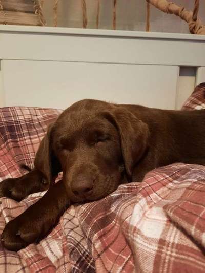 Lieblingsbild-Beitrag-Bild