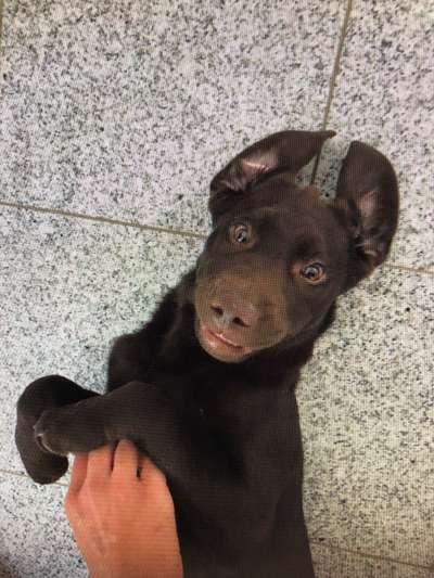 Fotochallange Nr. 6 Die irrsten Blicke-Beitrag-Bild