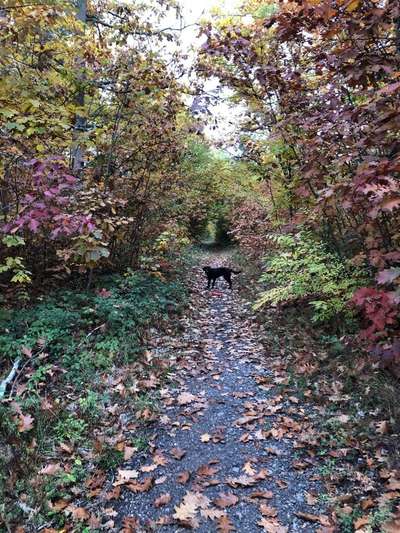 Foto Challenge 2 BEENDET 
Bitte aktuelle Challenge nutzen-Beitrag-Bild