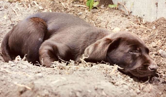 Foto Challenge 3-Beitrag-Bild