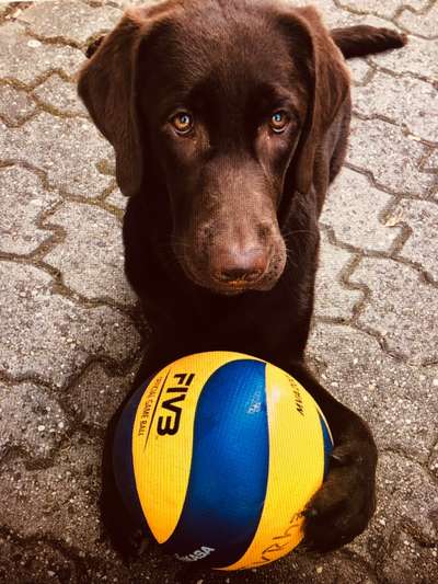 Fotochallange Nr. 57     PORTRÄT.   Beendet!!!!!!!!-Beitrag-Bild