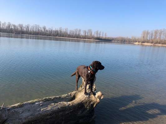 Fotowettbewerb Natur-Beitrag-Bild