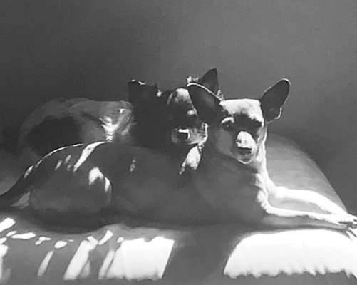 Foto-Challenge 76: Foto in Schwarz-Weiss-Beitrag-Bild