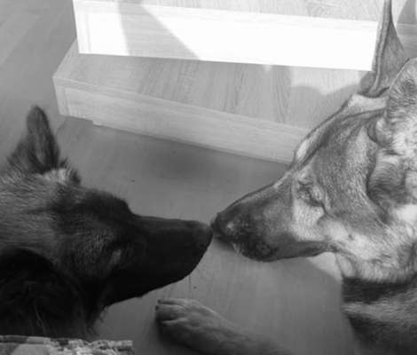 Foto-Challenge 76: Foto in Schwarz-Weiss-Beitrag-Bild