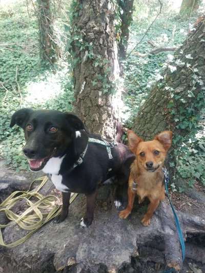 Doppelgänger gesucht !-Beitrag-Bild