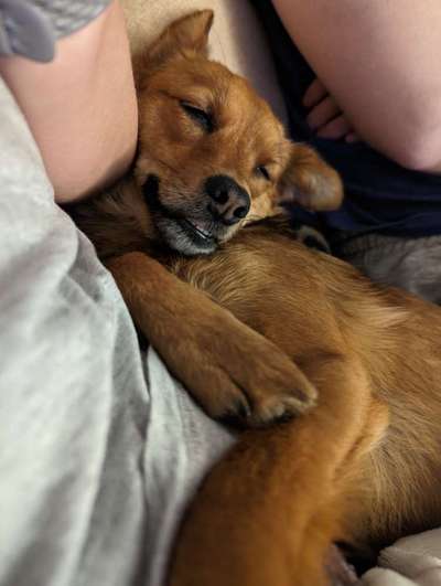 Foto Challenge Nr. 134-Beitrag-Bild