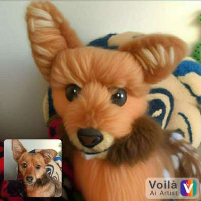 Voila app Bilder-Beitrag-Bild