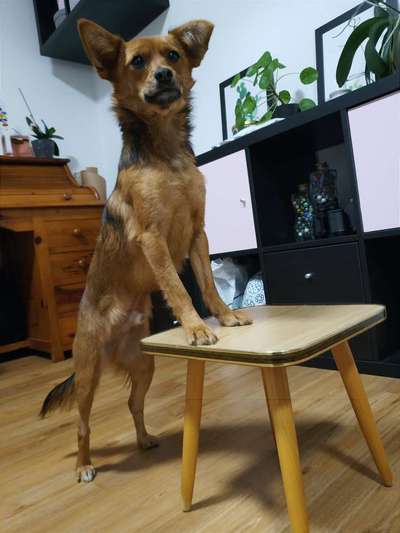 25. Handy Foto Challenge-Beitrag-Bild