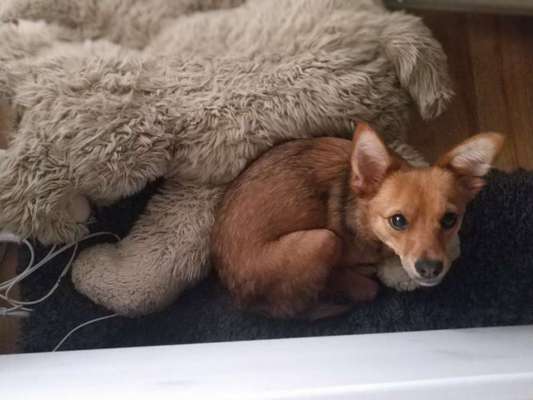 Handy-Foto Challange Nr. 10-Beitrag-Bild