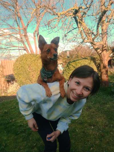 41. Handy Fotochallenge - Euer gemeinsames Hobby-Beitrag-Bild