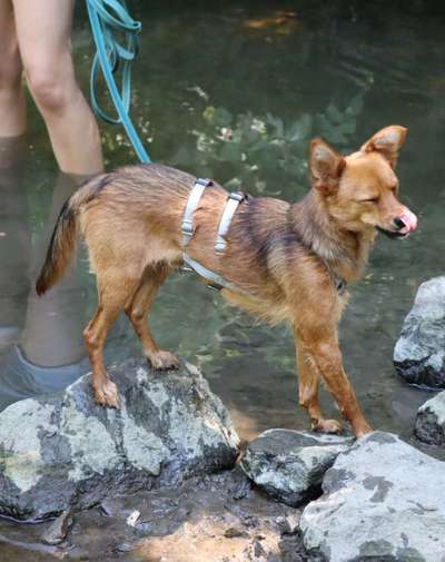 Tongue Out Tuesday-Beitrag-Bild