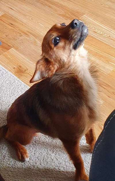 Handy-foto Challange nr. 11-Beitrag-Bild