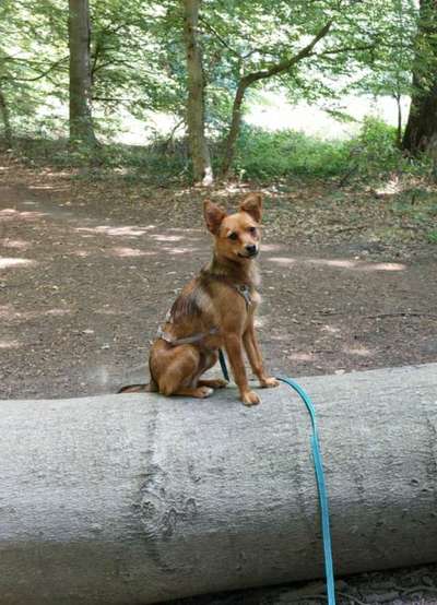 Doppelgänger gesucht !-Beitrag-Bild