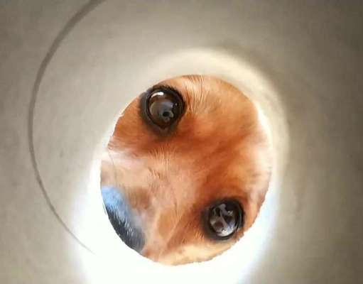 23. Handy Foto-Challenge-Beitrag-Bild