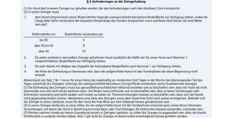 Bellender Hund in der Nachbarschaft-Beitrag-Bild