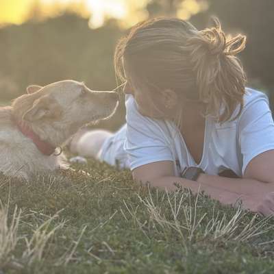 Hundetreffen-Golfplatzrundenbegleitung in Fröndenberg gesucht-Bild