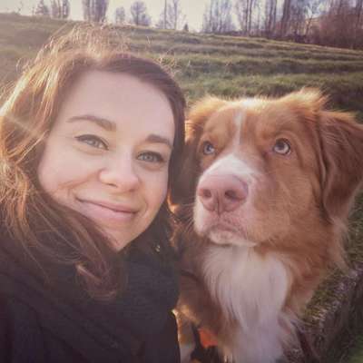 Hunde sind die beste Medizin-Beitrag-Bild