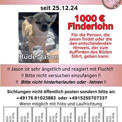 Suchmeldung-Jason-Bild