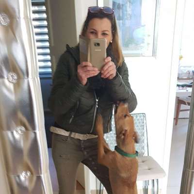 Hundetreffen-Gemeinsam Spazieren-Profilbild